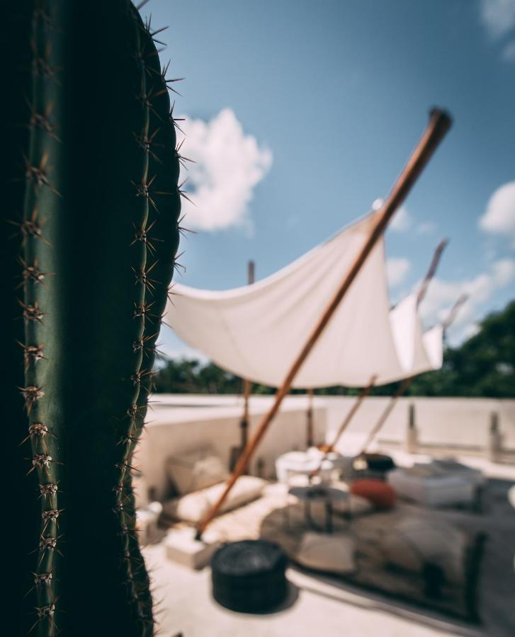 Ambre & Epices Jungle Hotel & Spa Tulum Exterior photo